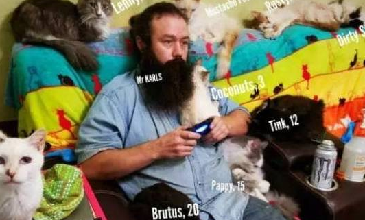 这哥们的猫太多了，为了防止记不住，照片上都得标注猫姓名和年龄