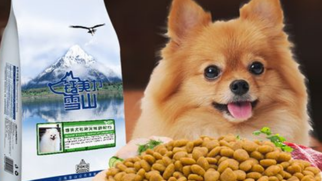 怎么让博美吃狗粮