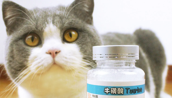 猫咪必须补充硫磺酸是什么原因