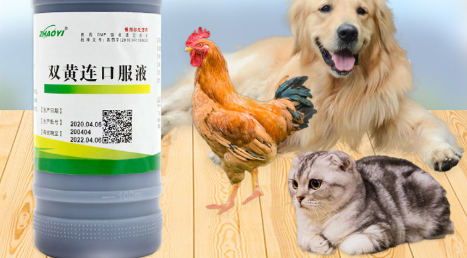 双黄连口服液谁家的好 双黄连口服液谁家的好