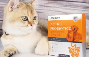 猫咪消炎药和益生菌可以一起吃吗