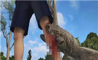 科莫多巨蜥吃人视频
