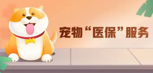 宠物医保怎么取消参保 宠物医保怎么取消参保