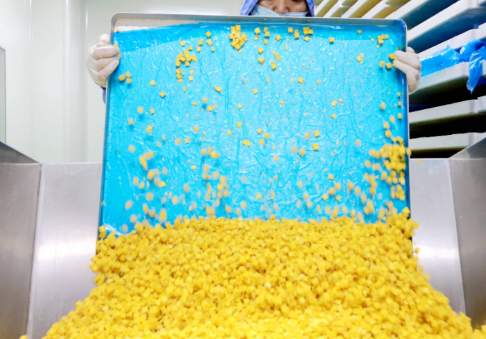 宠物食品如何加工 宠物食品如何加工