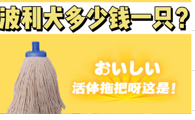 波利犬多少钱一只？独一无二的拖把狗！