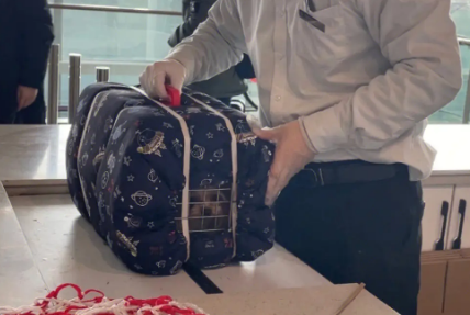 宠物飞机托运安全吗 宠物飞机托运安全吗