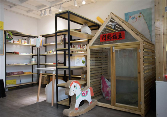 家里养猫可以用猫舍吗