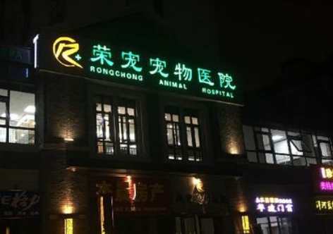 荣宠宠物医院好不好