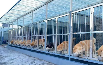 犬舍需要什么手续