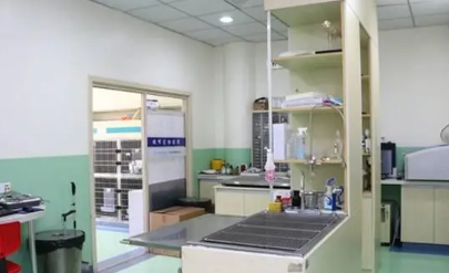宠物医院哪个好青岛