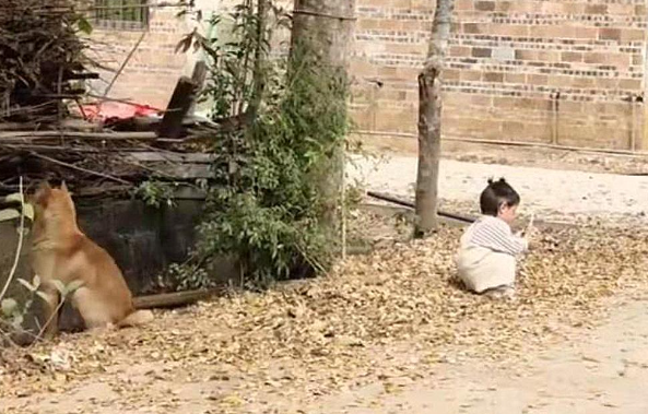 萌娃和狗狗背对背赌气，看了忍不住吐槽：狗都嫌弃的年纪呀