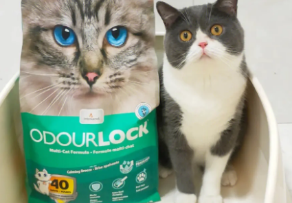 今天测猫砂|OdorLock晶乐客膨润土猫砂 今天测猫砂|OdorLock晶乐客膨润土猫砂