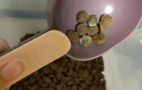 如何制作狗粮不发霉
