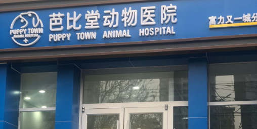 北京宠物医院哪家好