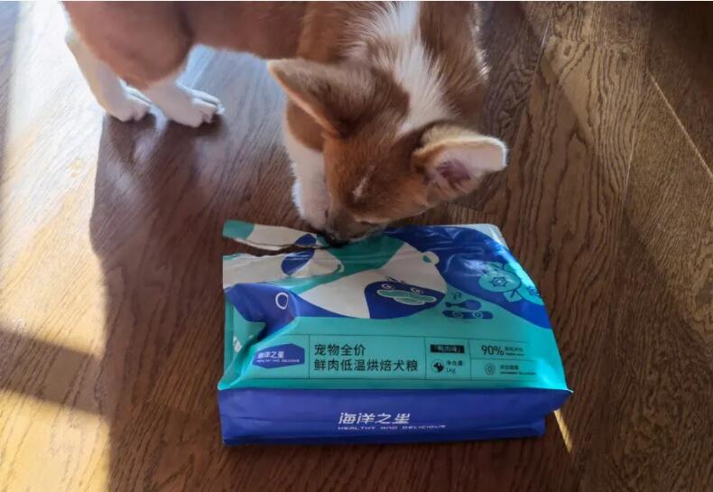 如何自制狗粮袋子不跑粮呢