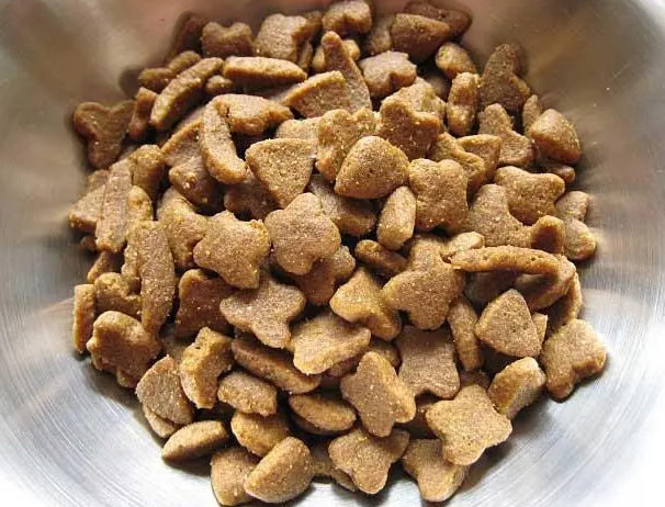 大袋狗粮如何储存最好 大袋狗粮如何储存最好