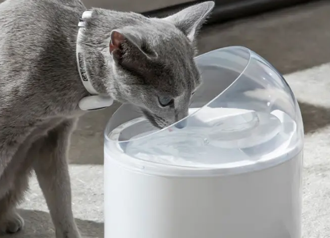 猫咪饮水机推荐