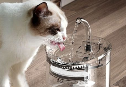 猫咪饮水机排行榜