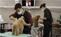 名匠宠物美容店怎么样