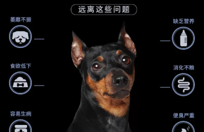 英派特狗粮厂家电话 英派特狗粮厂家电话