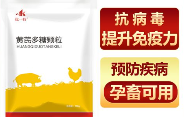 黄芪多糖人可以服用吗