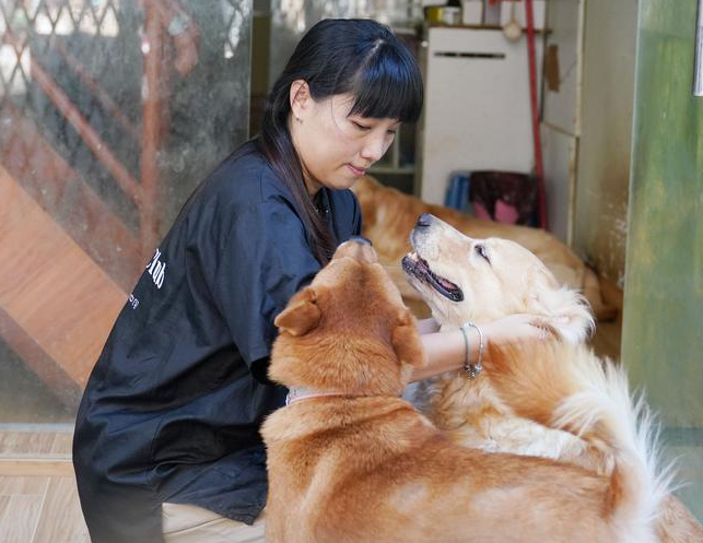 宠物救援中心 宠物救援中心