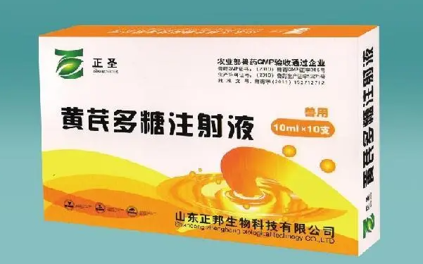 黄芪多糖的用途 黄芪多糖的用途