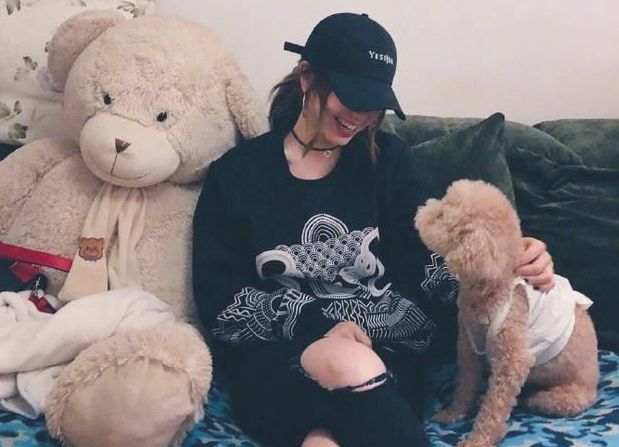 喂养泰迪犬感受，网民：它如同电磁铁一样，要我丧失随意