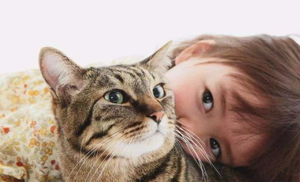 猫咪饲养的8个NG行为及关系改善建议 猫咪饲养的8个NG行为及关系改善建议