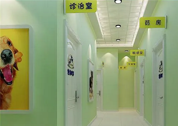 宠物医院住一晚多少钱