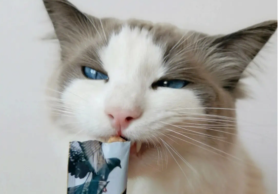 优培滋猫条怎么样 优培滋猫条怎么样