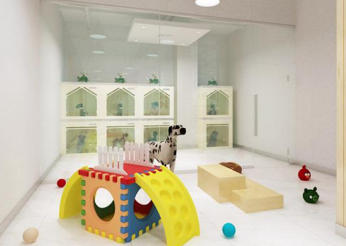 宠物店是自己开还是加盟的好 宠物店是自己开还是加盟的好