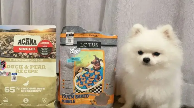 如何挑选博美犬狗粮配方呢