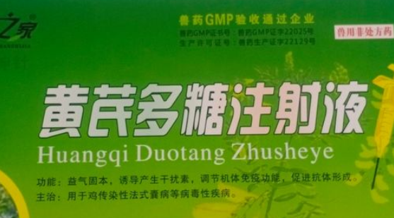 黄芪多糖怎么吃