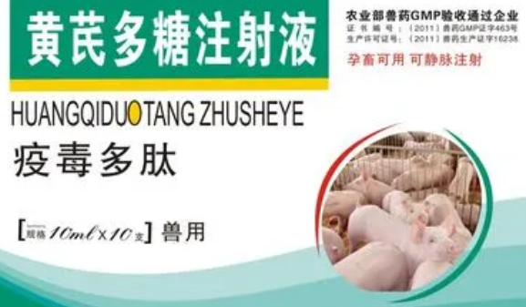 黄芪多糖治疗猪什么病