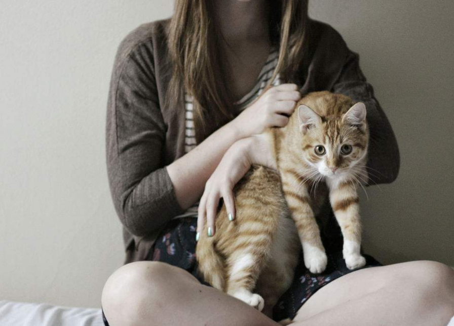 猫咪为什么不喜欢和女生 猫咪为什么不喜欢和女生