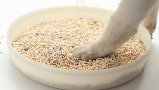 高密猫砂厂家 高密猫砂厂家