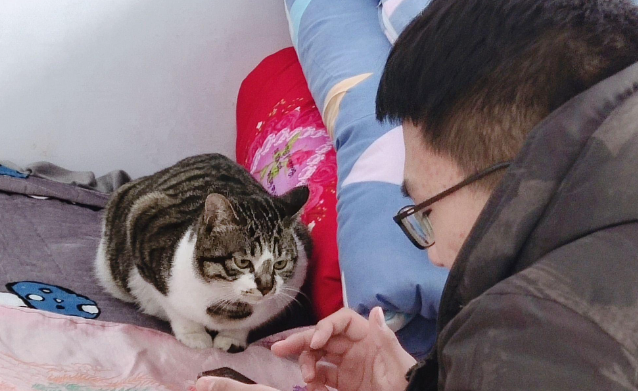 猫咪体内矿物元素与微量元素百科(猫咪需要的微量元素)
