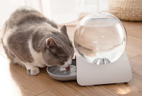 猫咪自动饮水机什么原理