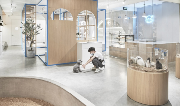 临沂天元宠物店员工待遇怎么样