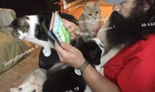 这哥们的猫太多了，为了防止记不住，照片上都得标注猫姓名和年龄