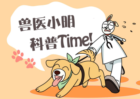 萌娃和狗狗背对背赌气，看了忍不住吐槽：狗都嫌弃的年纪呀