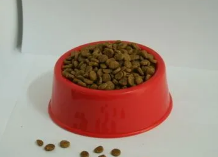 卖猫粮狗粮生意如何做赚钱吗