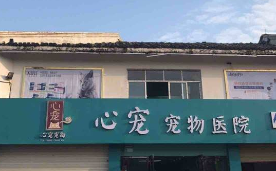 心宠宠物医院怎么样 心宠宠物医院怎么样