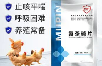氨茶碱哪个厂家的效果好
