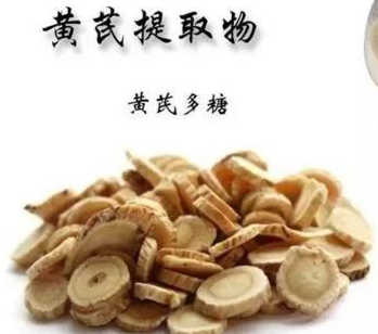黄芪多糖兽药治什么病