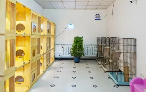 北京宠物寄养多少钱一天
