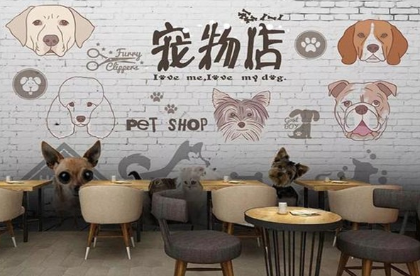 宠物店的加盟费用多少钱