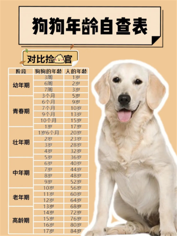 幼犬的年龄范围