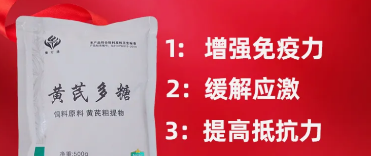 黄芪多糖结块是怎么回事